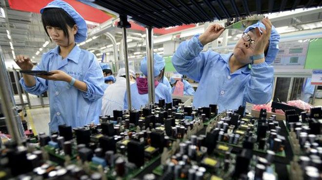 Şile Kene İlaçlama